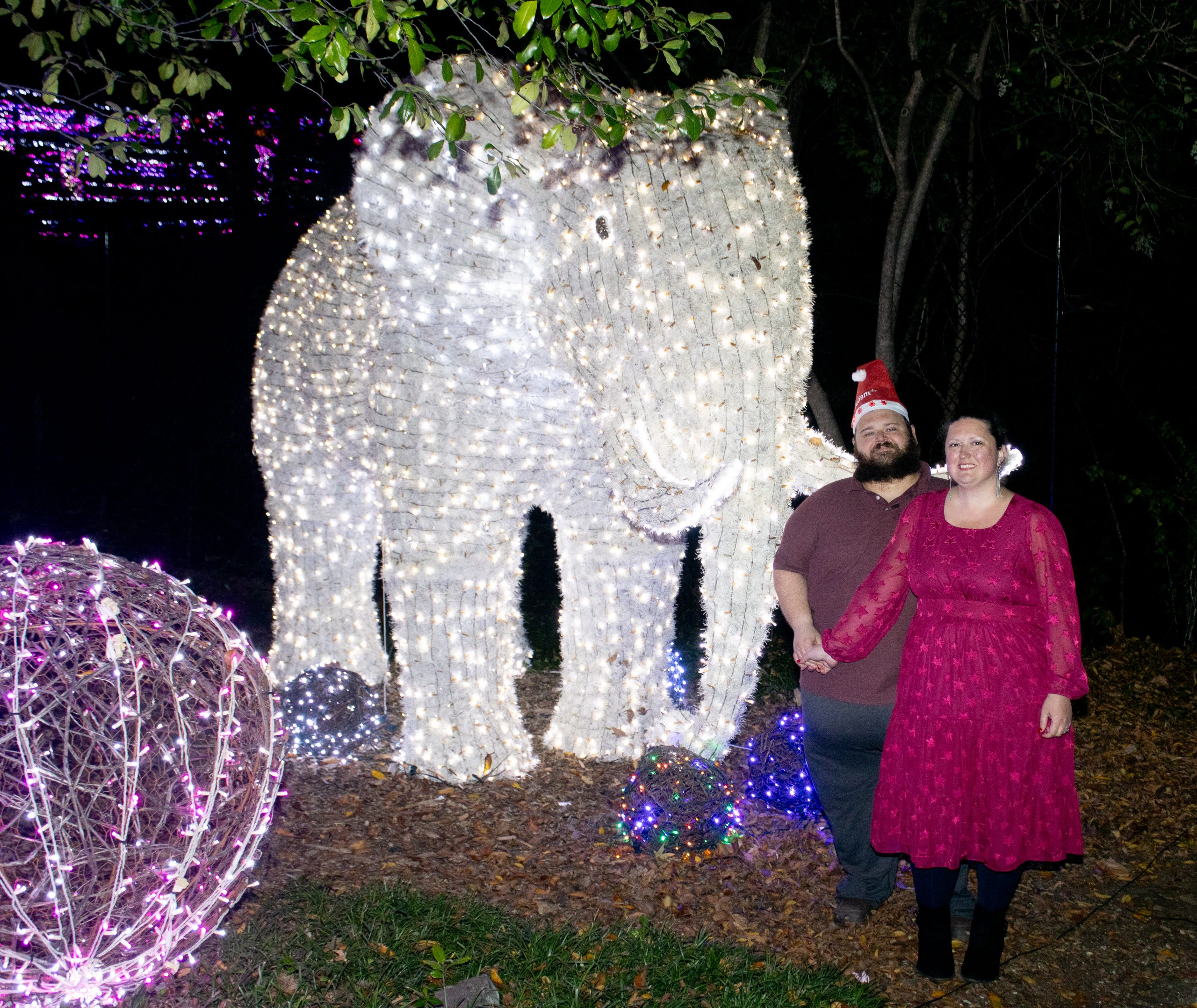 Christmas at the Dallas Zoo (Photos)